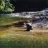 Classic New Zealand fly fishing - sighting and stalking